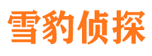 西峡市侦探调查公司